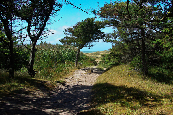 naturens-spisekammer-skiveren