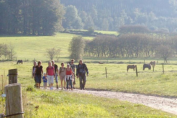 Arrangerede gåture i Skiveren