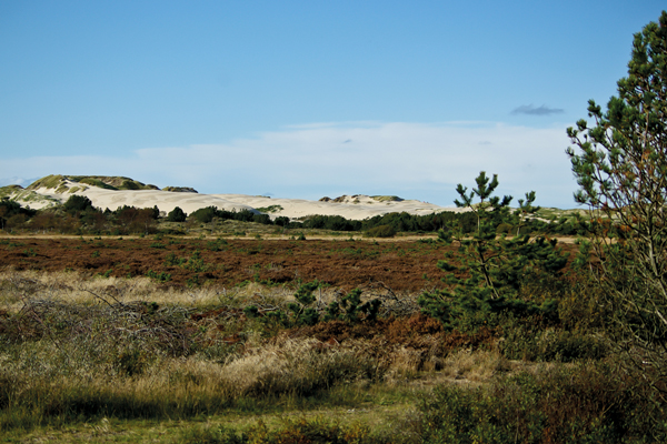 badning ved stranden skiveren