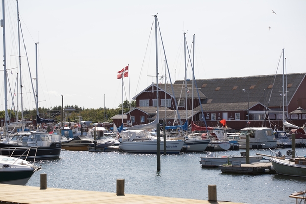 Havneområdet i Aalbæk by